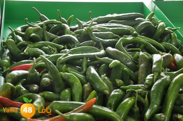 souq yaffa 0123 (36).JPG